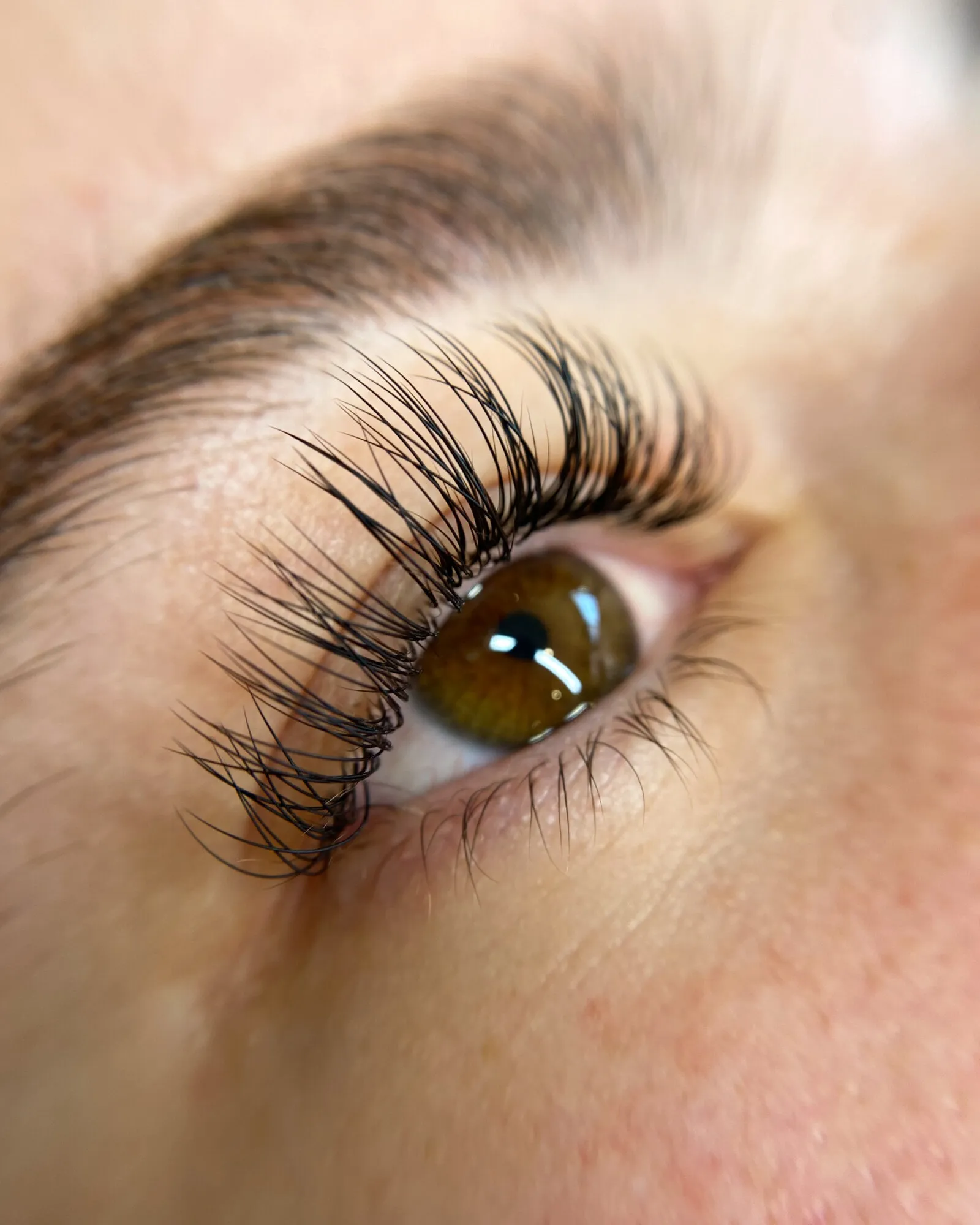 Wispy set brown eyes by The Little Lounge, Bundaberg